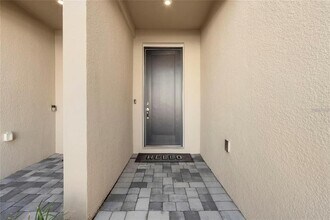 4282 Cloud Hopper Wy in Lutz, FL - Building Photo - Building Photo