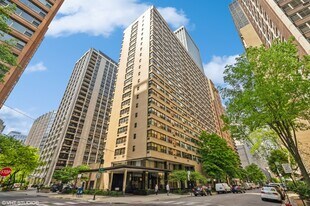 850 N Dewitt Pl in Chicago, IL - Building Photo