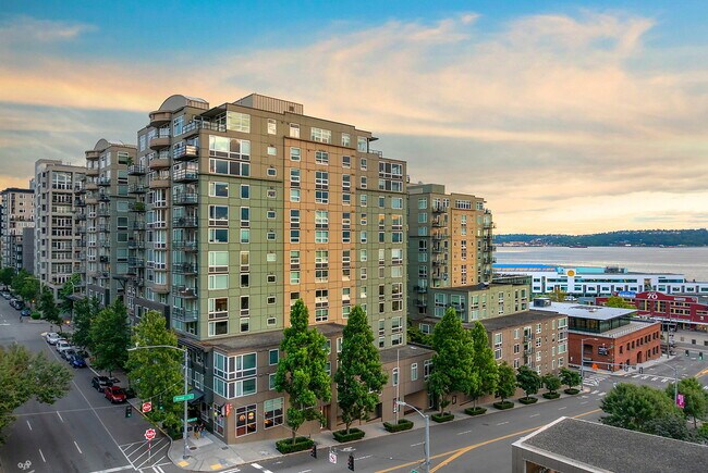 The Audrey at Belltown