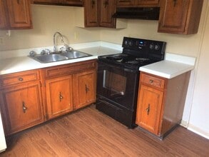 1441 Cora Ln in Johnson City, TN - Building Photo - Building Photo