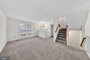 409 Feather Dr in Newark, DE - Building Photo