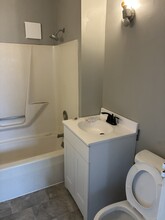 103 N Franklin St, Unit 3 in Madison, WI - Building Photo - Building Photo