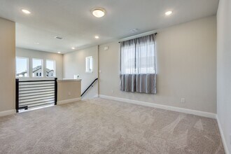 10538 Downy Cup Dr in Frisco, TX - Building Photo - Building Photo