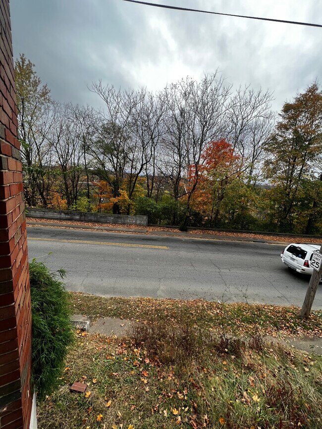 821 Ferdinand Ave SW Rentals in Roanoke, VA