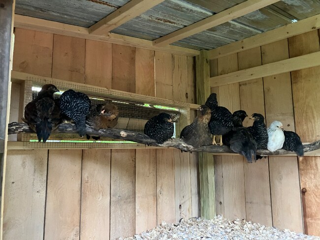 215 Tuscan Rd in Worcester, NY - Building Photo - Building Photo