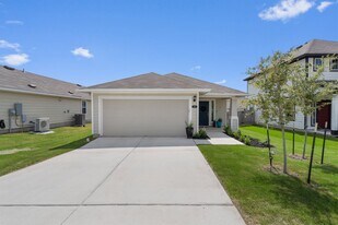 208 Blue Agate Ct in Jarrell, TX - Building Photo