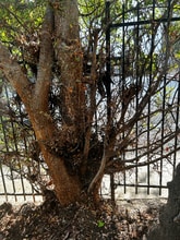 1850 N La Brea Ave in Los Angeles, CA - Building Photo - Building Photo