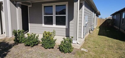 223 Sweetwater Crk Ln in Hutto, TX - Building Photo - Building Photo