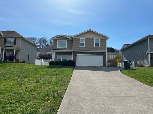 1311 Carrberry Ct in Kingsport, TN - Building Photo - Building Photo