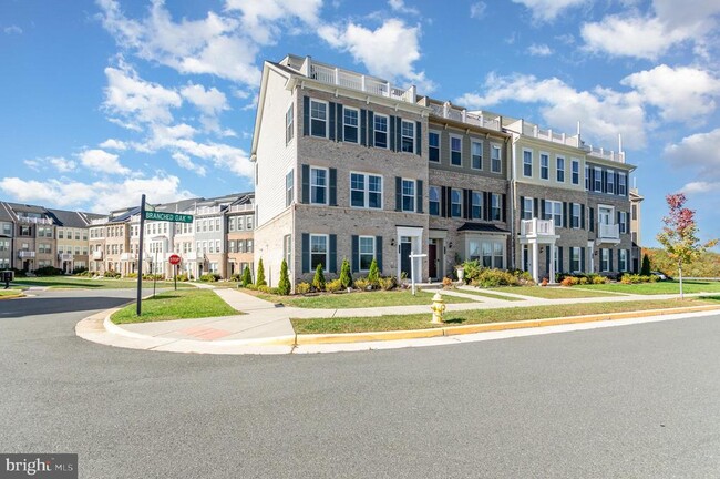 17177 Branched Oak Rd in Dumfries, VA - Building Photo - Building Photo