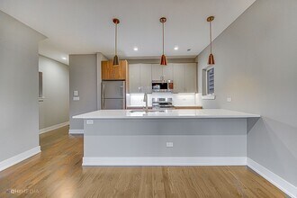 1734 W 21st Pl in Chicago, IL - Building Photo - Building Photo