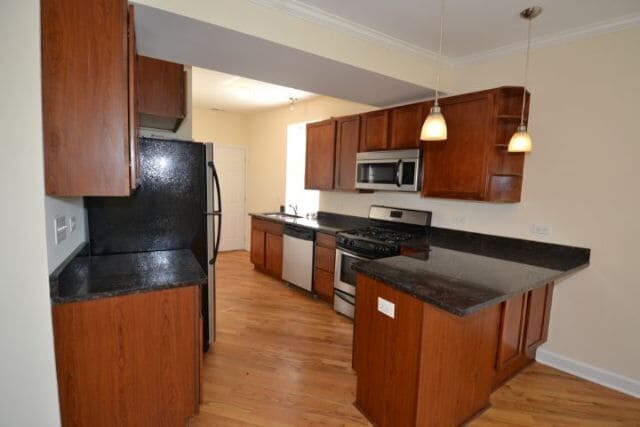 1623 W Wallen Ave, Unit 3 in Chicago, IL - Foto de edificio - Building Photo