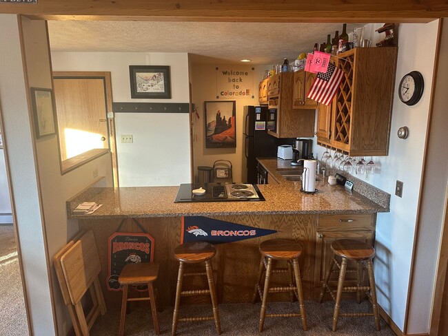 91300 Ryan Gulch Rd in Silverthorne, CO - Building Photo - Building Photo
