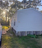 12106 Diana Dr in Lumberton, TX - Building Photo