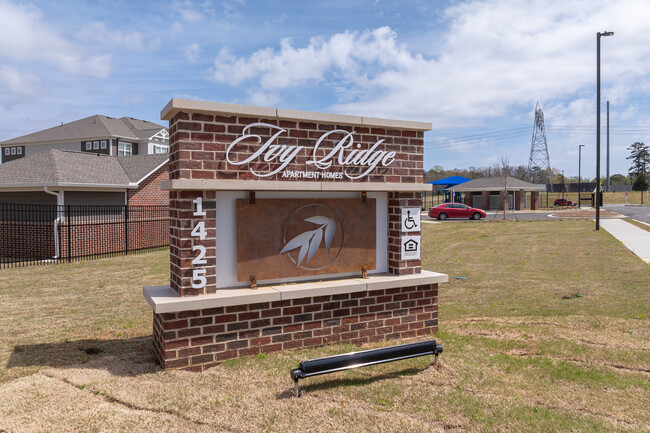 Ivy Ridge Apartments in Buford, GA - Building Photo - Other