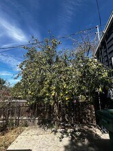 2019 Adams Ave in Ogden, UT - Building Photo - Building Photo