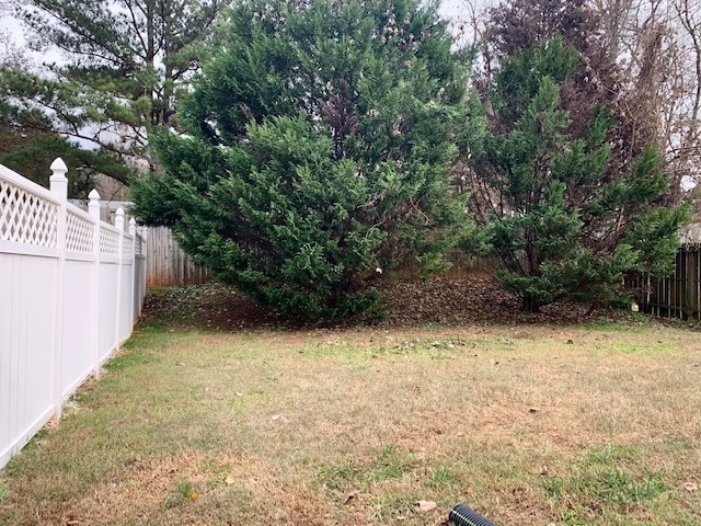 1216 Camellia Ct in Rock Hill, SC - Foto de edificio - Building Photo