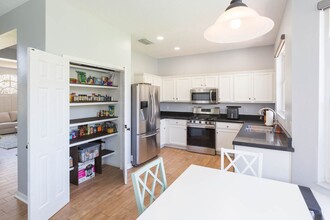 1141 Big Creek Dr in Wesley Chapel, FL - Building Photo - Building Photo