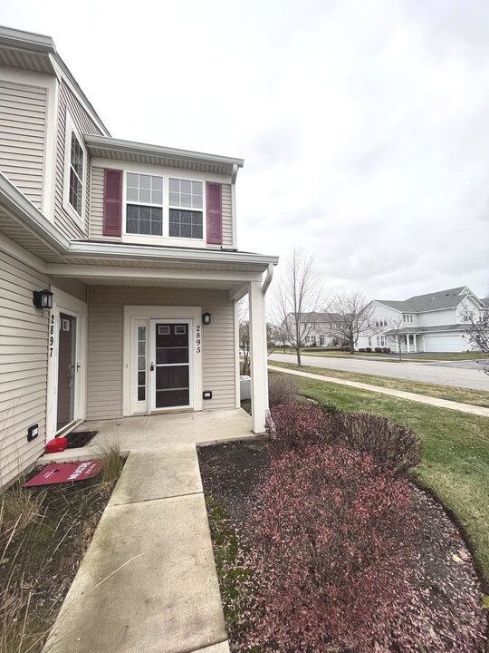 2895 Falling Waters Dr in Lindenhurst, IL - Building Photo