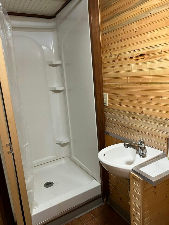 102 E Erie St in Albion, MI - Building Photo - Building Photo