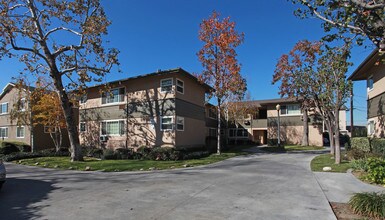 Elmwood Focus in Burbank, CA - Building Photo - Building Photo