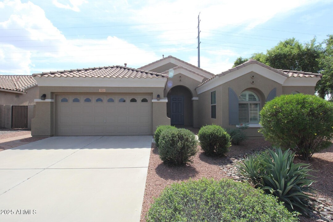 2251 E Aloe Pl in Chandler, AZ - Building Photo