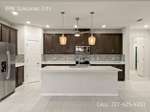 13413 Palmera Vista Dr in Riverview, FL - Building Photo - Building Photo