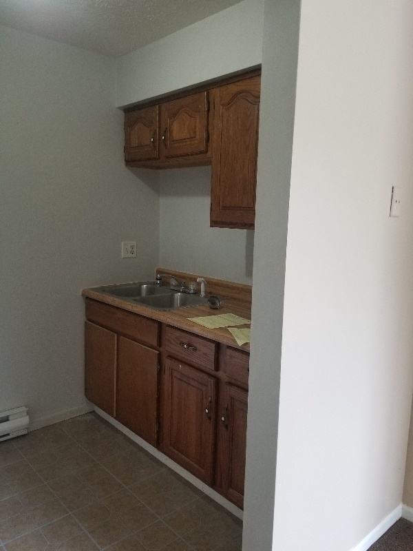 4247 Sabin Dr in Rootstown, OH - Foto de edificio - Building Photo
