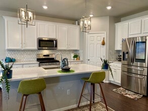 497 White Sand Trl in Castle Rock, CO - Building Photo - Building Photo