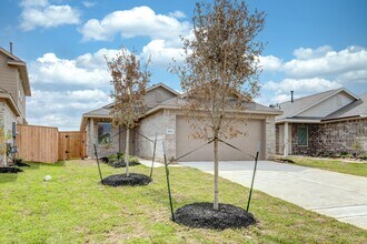 26811 Paloma Blanca Dr in Katy, TX - Building Photo - Building Photo