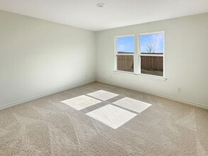 820 Heartseed Ave in New Braunfels, TX - Building Photo - Building Photo