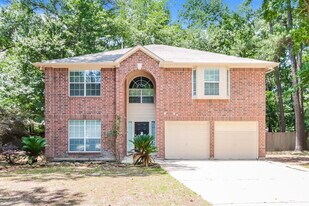 403 Douglas Fir Dr in Magnolia, TX - Building Photo