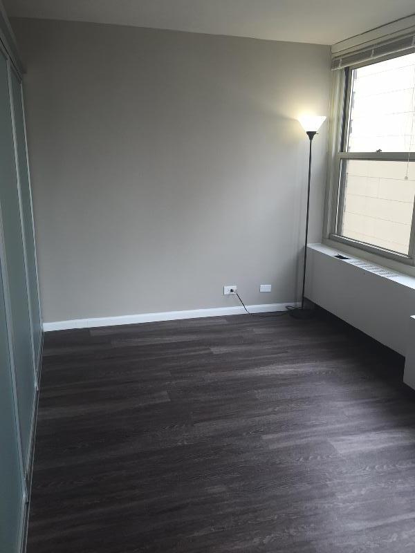 850 N Dewitt Pl in Chicago, IL - Building Photo - Building Photo