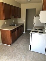 Patty Sue Apartments in Romulus, MI - Building Photo