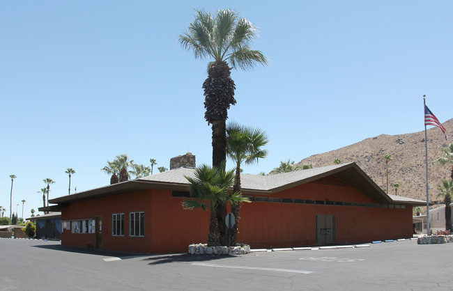 Safari MHC in Palm Springs, CA - Building Photo - Building Photo