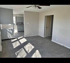 409 E Lincoln St in Maroa, IL - Building Photo