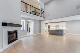 4356 Cheetah Trail in Frisco, TX - Building Photo