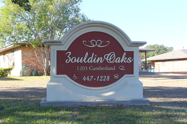 Bouldin Oaks in Austin, TX - Building Photo - Building Photo