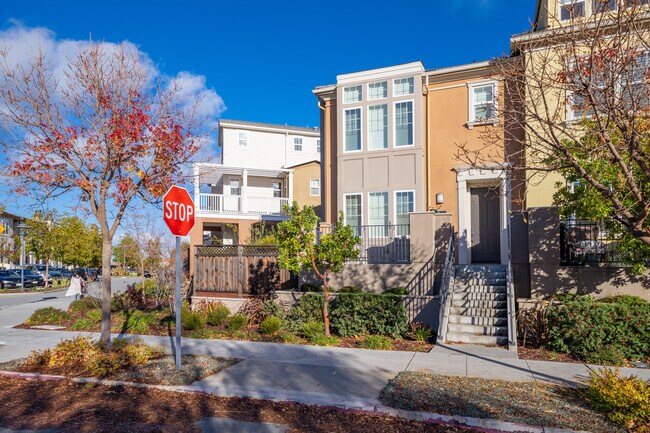 Canterbury in San Mateo, CA - Building Photo - Building Photo