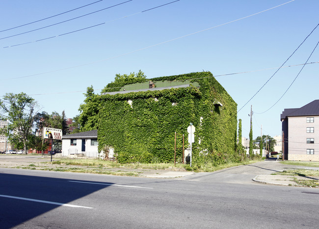 619 Cherry Ave in Canton, OH - Building Photo - Building Photo