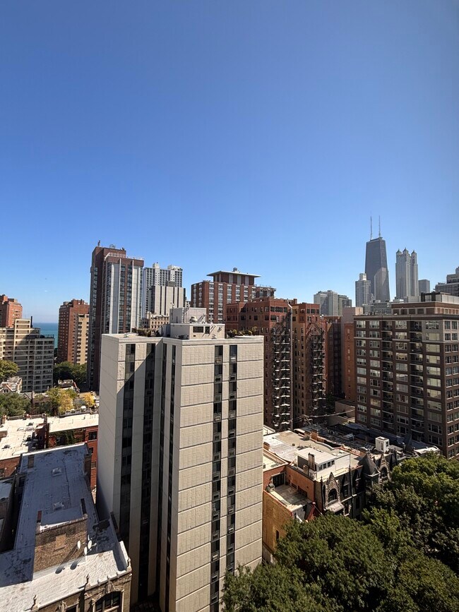 1300 N Dearborn St, Unit 4B in Chicago, IL - Foto de edificio - Building Photo