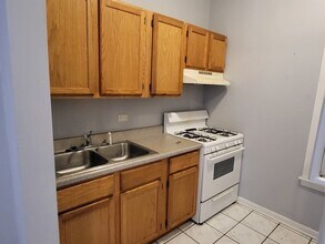 1025 W Cullerton St in Chicago, IL - Building Photo - Building Photo