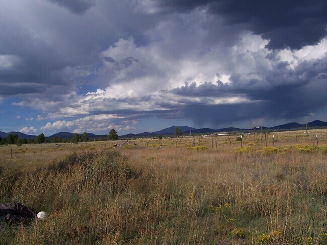 10873 E Horse Hill Trail in Parks, AZ - Building Photo - Building Photo