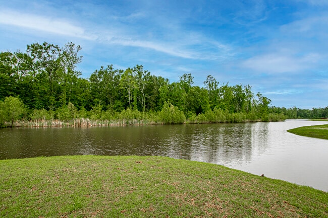 1130 Shadow Bluff Dr in Baton Rouge, LA - Building Photo - Building Photo