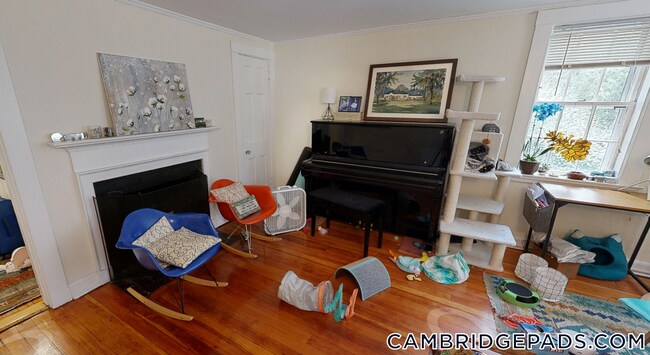 38 Gibson St in Cambridge, MA - Building Photo - Building Photo