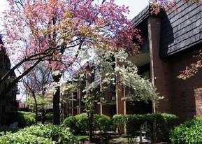 York Terrace East Apartments