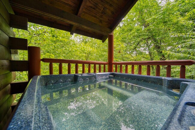 1833 Laurel Valley Way in Sevierville, TN - Foto de edificio - Building Photo