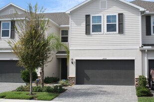 15008 Blue Quaker Pl in Tampa, FL - Building Photo