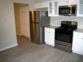 919 S McKinley Ave in Arlington Heights, IL - Building Photo - Building Photo