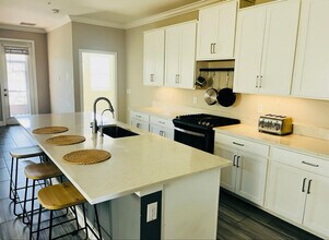 4208 Cadence Loop in Land O Lakes, FL - Foto de edificio - Building Photo